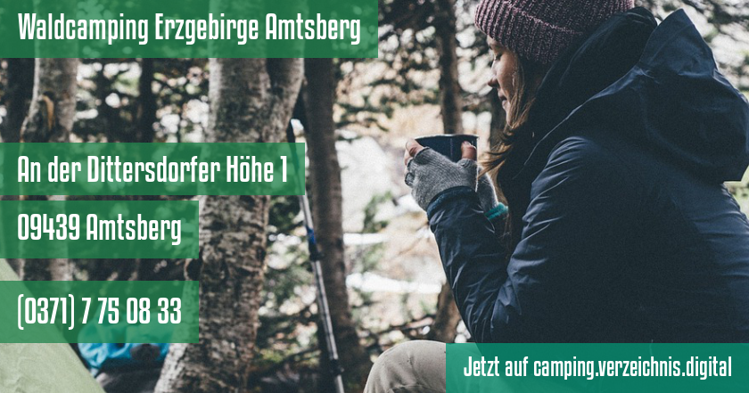 Waldcamping Erzgebirge Amtsberg auf camping.verzeichnis.digital